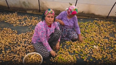 İsyan etti: Daha bir kilo bile satamadık, rezil oluyoruz