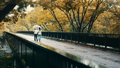 Meteoroloji'den 6 il için sarı kodlu uyarı