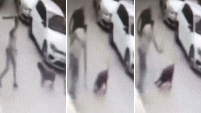 Sokak köpeğine kemerle vuran şüpheli gözaltına alındı