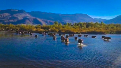 Su seviyesi iyice düştü: Eskiden köprüyü kullanırlardı, şimdi yürüyorlar