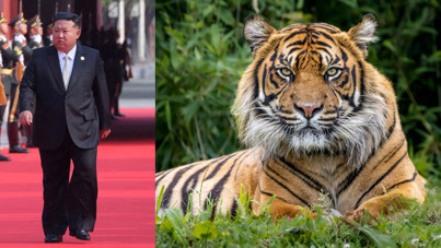 "Kuzey Koreliler aç kalmamak için kaplan yiyor"