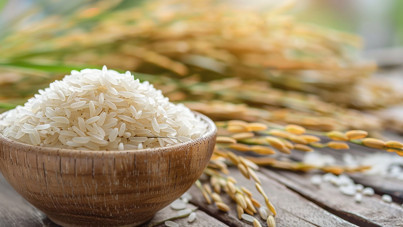 Pirinçte dev kayıp: Fiyatlara yansıyacak