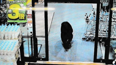 Ayı markete girdi: 2 kişi yaralandı