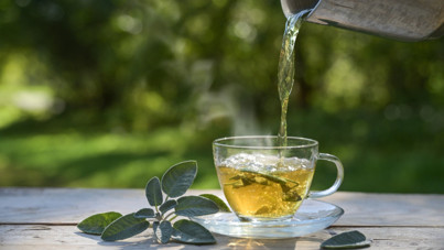 Çarpıcı araştırma: Doğal bileşenler zayıflama ilaçlarını 'taklit ediyor'