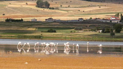 Bir zamanlar kuş cennetiydi… Konya’daki Çavuşçu Gölü artık yok