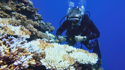 Bilim insanları alarmda: Dünya kritik eşiği ilk kez aştı!
