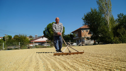 Tarlanın enflasyonu 3 ayın zirvesinde