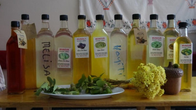 Tunceli dağlarında bulduğu her bitkiden sirke yapıyor