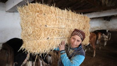 Gelin geldi, köyde kendi işinin patronu oldu