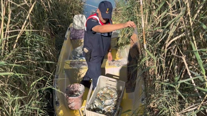 Mavi yengeç avcıları yakalandı