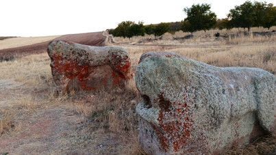 4 bin yıllık Aslantaş heykelleri için tartışma: Müze mi, yerinde koruma mı?