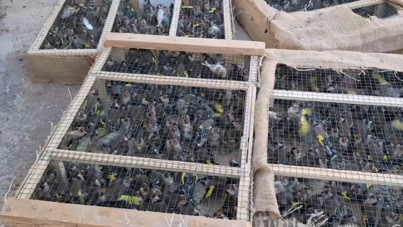 Son anda yakalandılar: 10 milyon 897 bin TL ceza kesildi