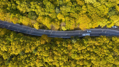 Bolu'da sonbahar cümbüşü