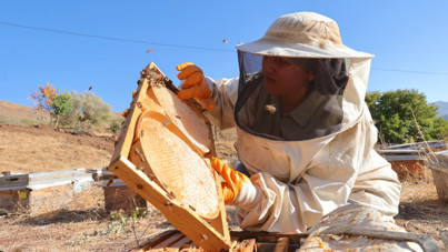 Köye döndü, işinin patronu oldu