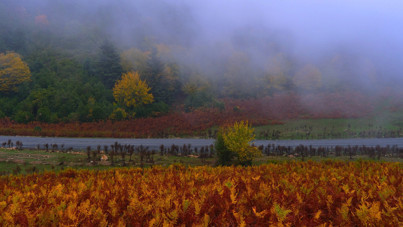 Sisler arasında büyüleyici yolculuk