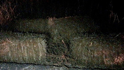 Balyaların altında kaldı, hayatını kaybetti