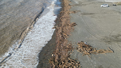 Sahile vuran binlerce kütük, Akdeniz’in rengini değiştirdi