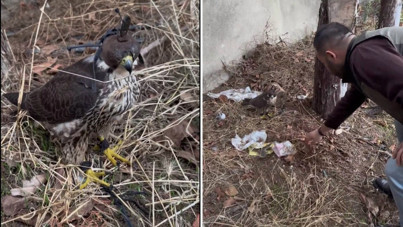 Silivri’de yasa dışı kuş ticaretine 1,5 milyon TL ceza