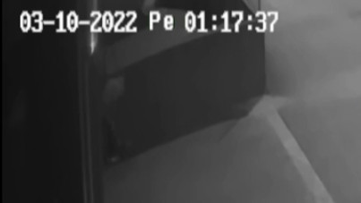 Hırsızı dışkısı yakalattı