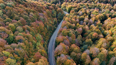 Istrancalar görenleri büyüledi