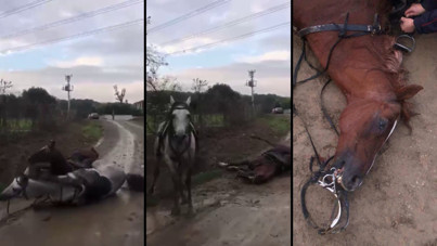 Kaçak elektrik öldürdü