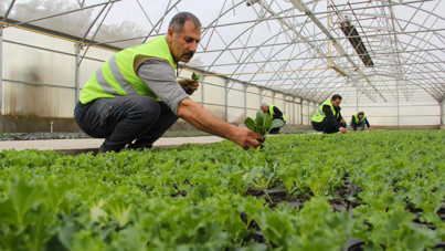 TÜİK açıkladı: Tarımda büyük kayıp bekleniyor