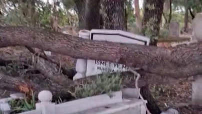 Antalya’da şiddetli rüzgar mezarlıkta ağaçları devirdi