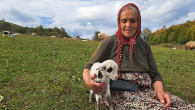 Eşini kaybetti, hayatını hayvanlara adadı: 'Onlara gözüm gibi bakıyorum'