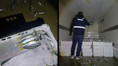 İstavrite boy denetimi: 845 kilo balığa el kondu