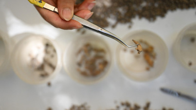 Kahramanmaraş'ta 13 bin yıl öncesine ait izler ortaya çıktı