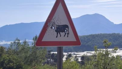 Trafik levhalarını kurşunladılar