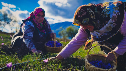 'Talep her geçen yıl artıyor' deyip fiyatını açıkladı: Gramı 600 TL