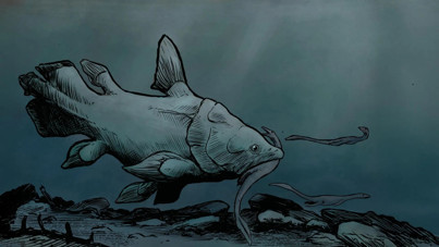 Müzede 150 yıllık gecikme: Fosiller yeni keşfedildi