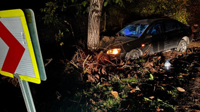 Bursa'da otomobil ağaca çarptı: 3 yaralı