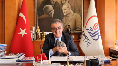 Bayrampaşa Belediyesi'nde kedi bilmecesi