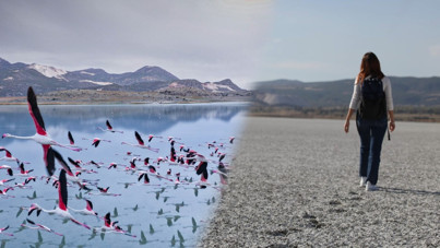 Bir zamanlar binlerce flamingo vardı… Şimdi sadece ayak izleri kaldı