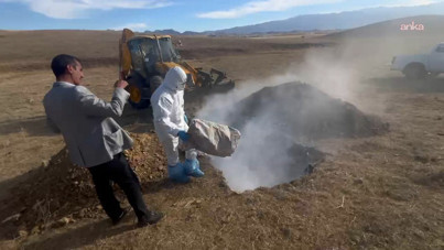 Ne insani ne güvenli: Hayvanlar canlı canlı gömüldü