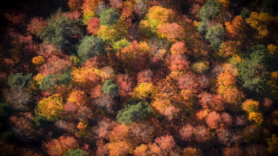 Mengen tuval gibi: Kırmızıya döndü