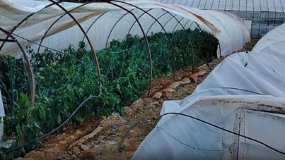 Seraları hortum vurdu