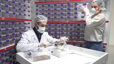 Akrep tesisiyle dünyaya açıldı