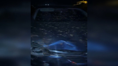 Otomobilin çarptığı sürüdeki 7 koyun öldü