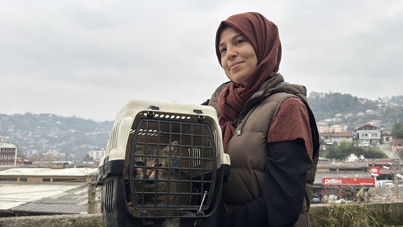 Zonguldak’ta kaybolan kedi mermiyle yaralanmış bulundu