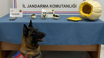 Bal kabağına uyuşturucu gizlemişler