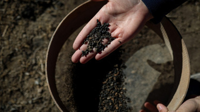 Van’da 5 bin yıllık arpa taneleri gün yüzüne çıkarıldı