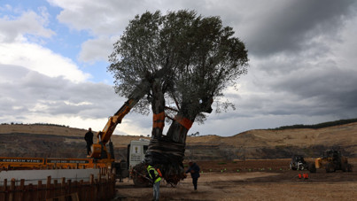 300 yıl sonra taşındı