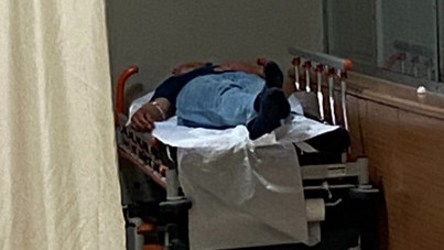 Bu kez mantar: 7 kişi hastanelik oldu