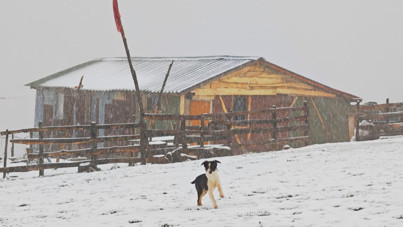 Ordu'da kar yağışı