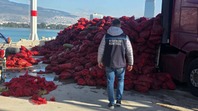 Tonlarca kaçak midye yakalandı