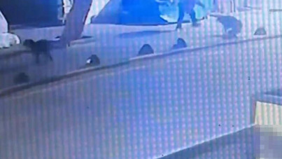 Emekli astsubay, sokak köpeğini tabancayla vurdu