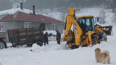 Ordu'da karla kaplı yayla yolları açıldı
